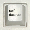 Self Destruction Button